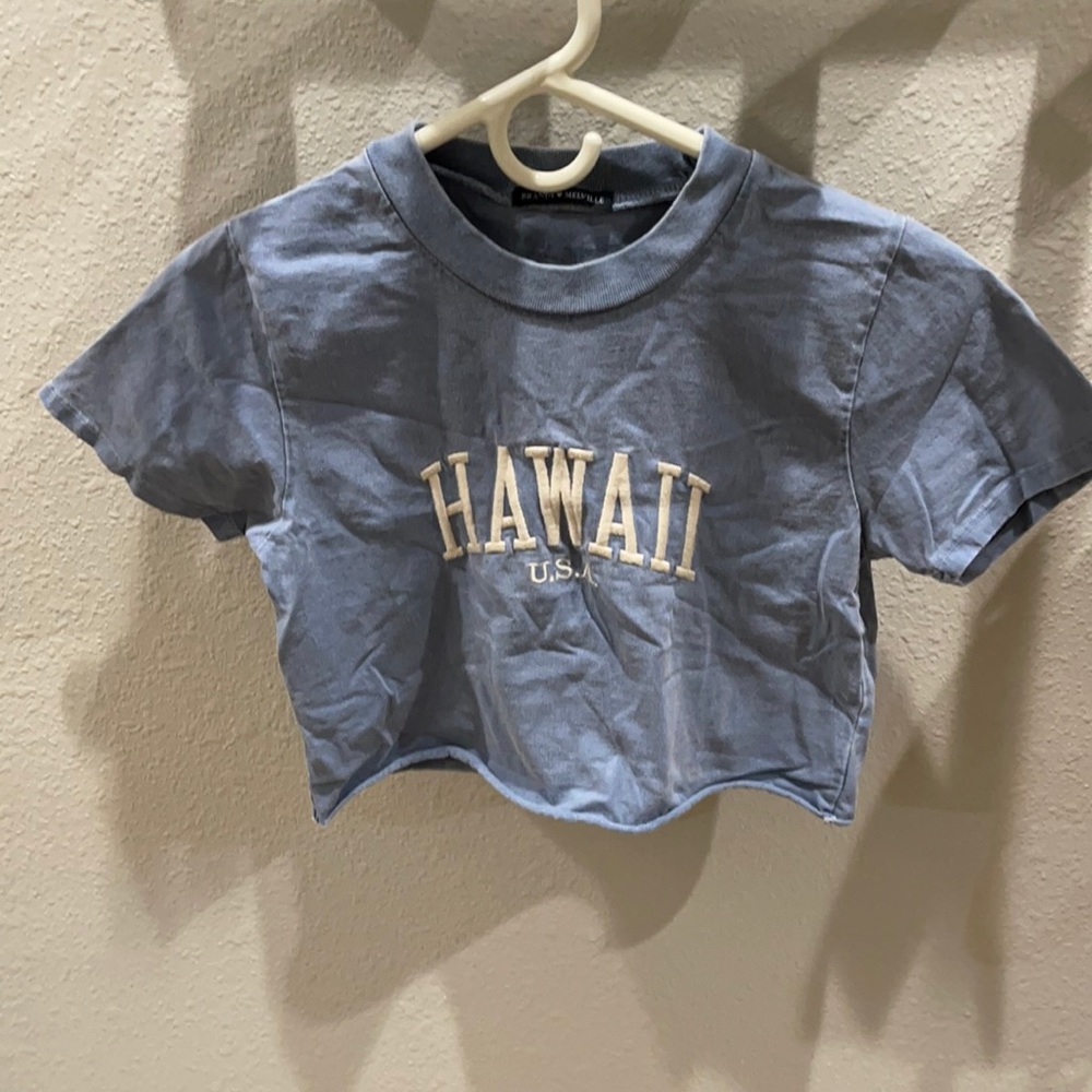 Brandy Melville cropped tee shirt